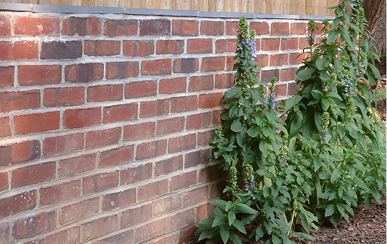 leaking brick walls img