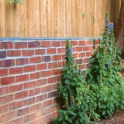 Restoration of historic brick masonry with precise tuckpointing techniques.