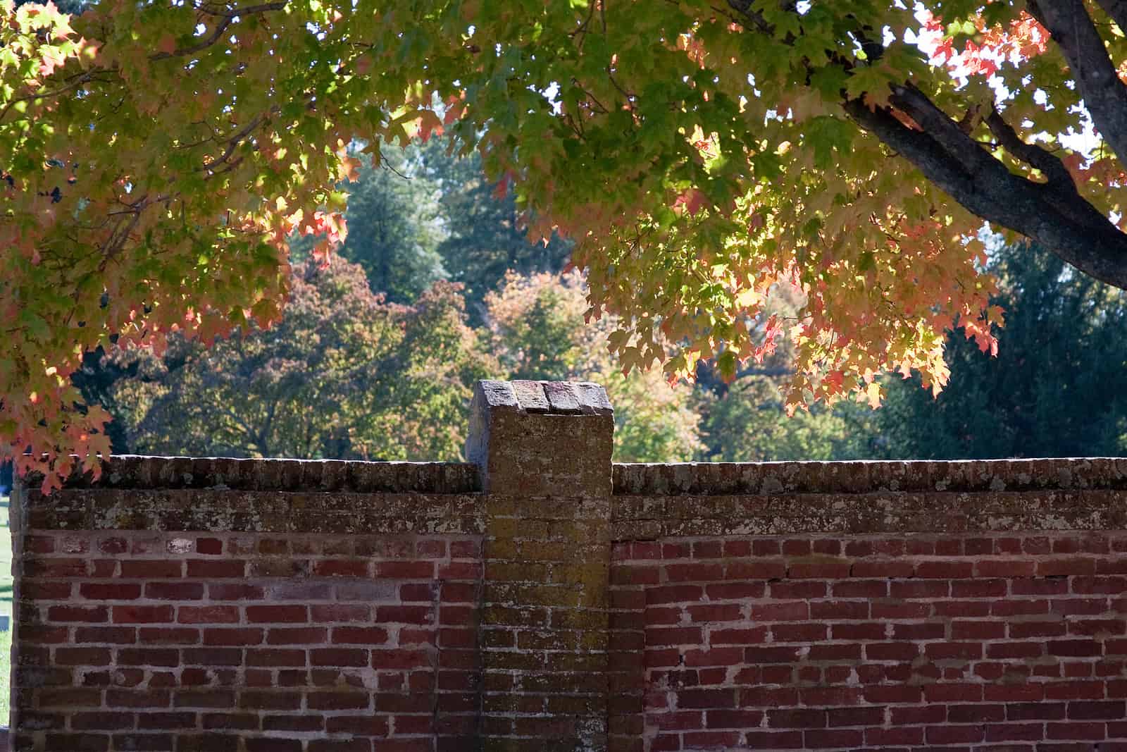 Historic brick wall with detailed masonry and tuckpointing work under autumn trees.