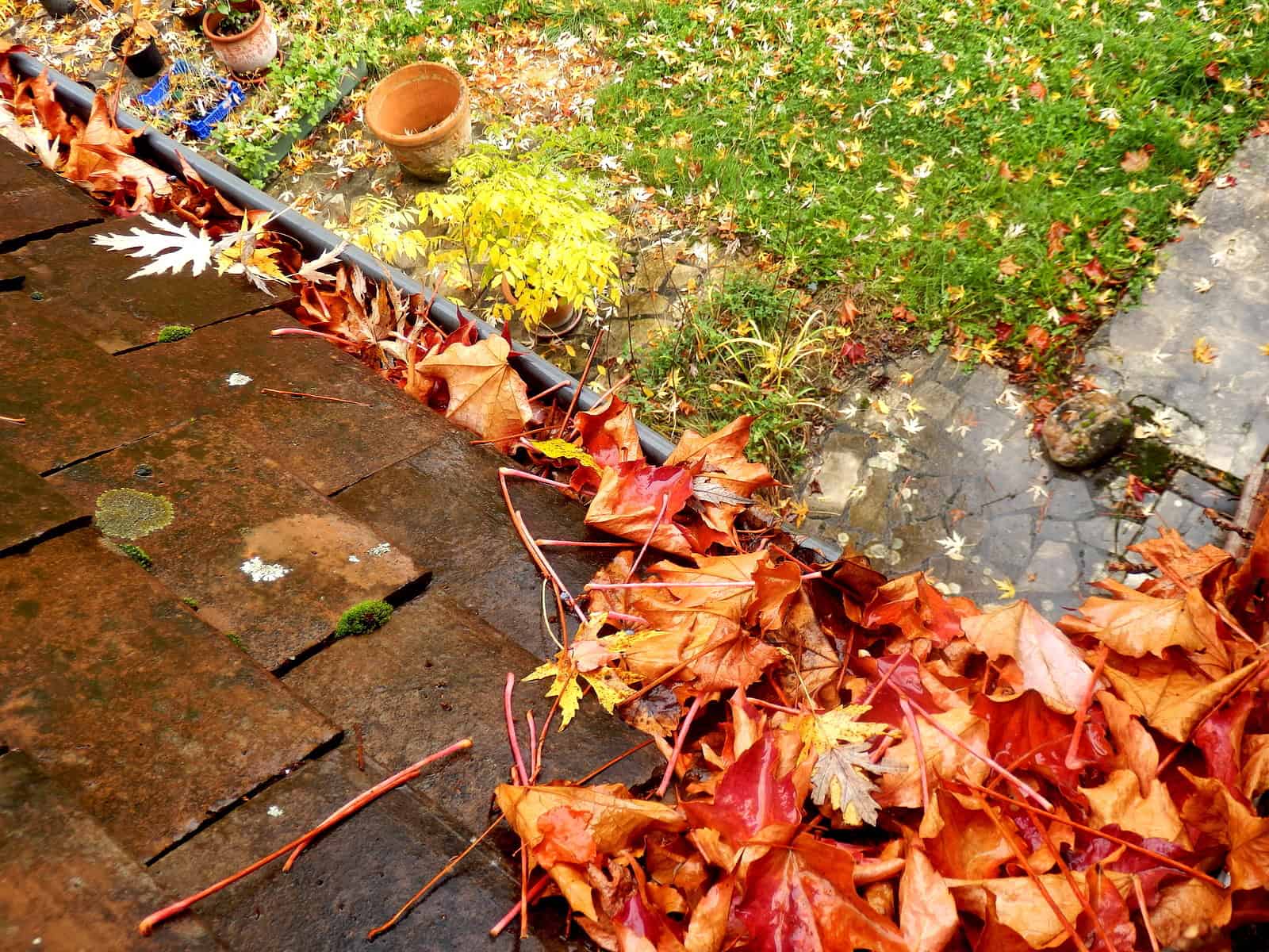 Close-up of autumn leaves on a brick roof and garden with fallen leaves and potted plants.