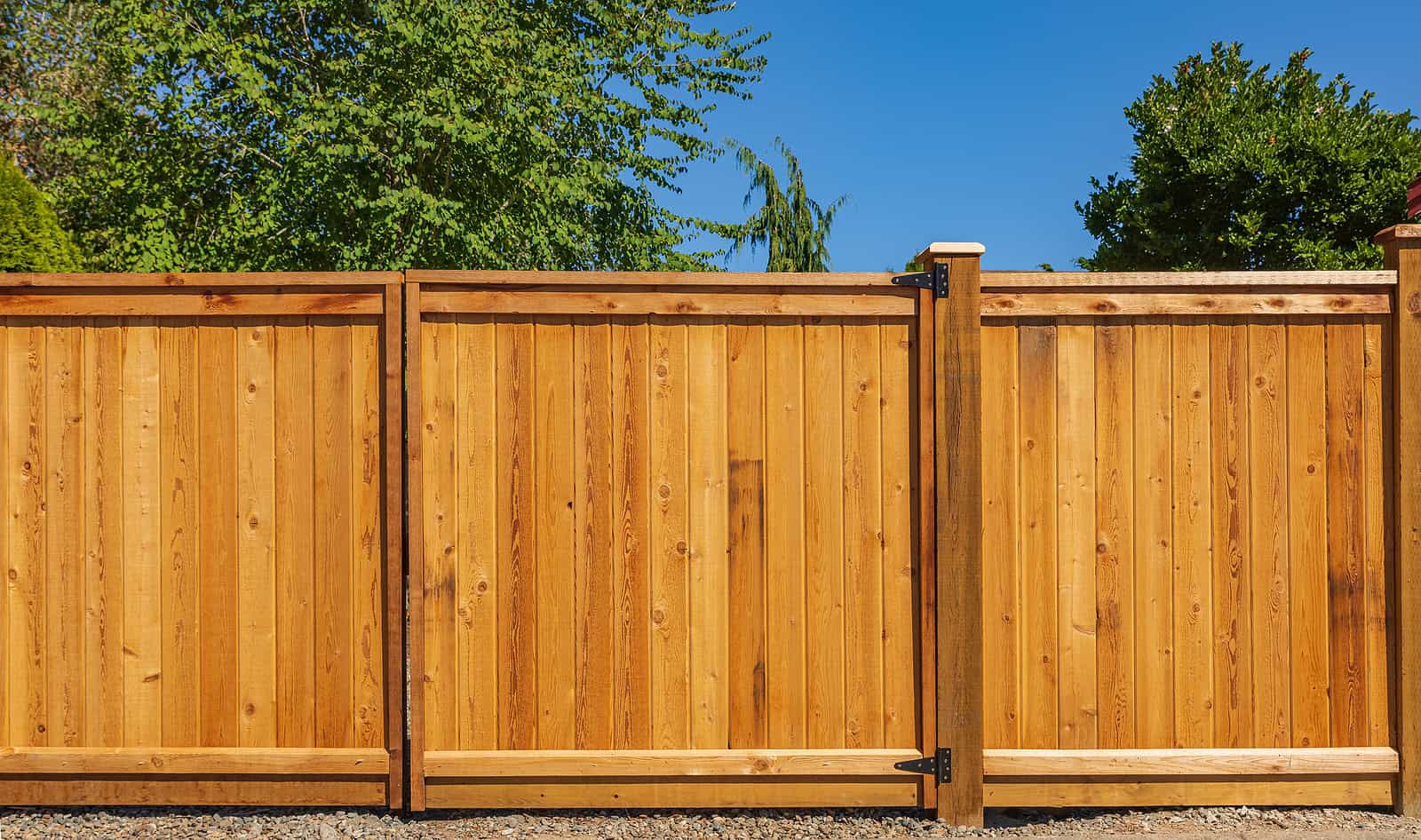 Historic masonry and tuckpointing work on a wooden fence with lush green trees in the background.