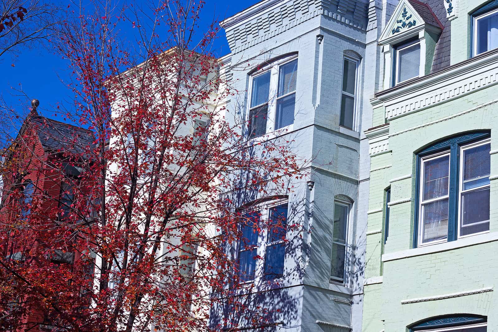 Historic masonry and tuckpointing work on a Renaissance-style building facade.