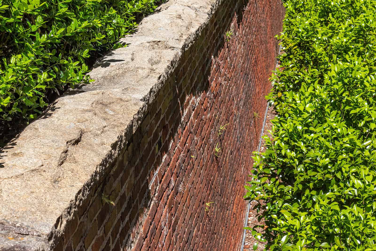 Close-up of historic brick masonry wall with fresh tuckpointing and stone cap.
