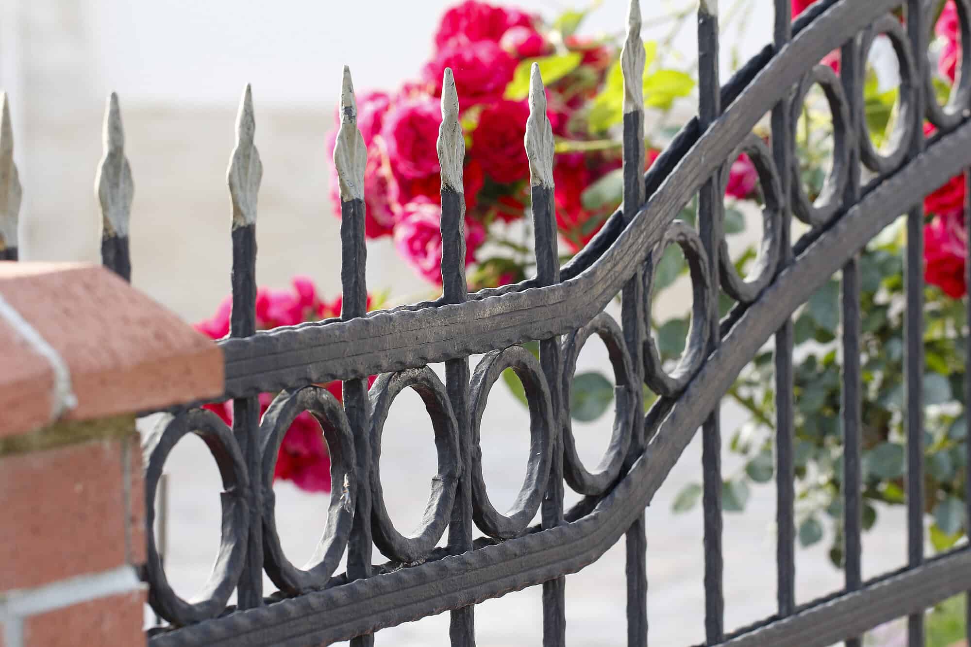 Close-up of ornate wrought iron fence with pink flowers in background.
