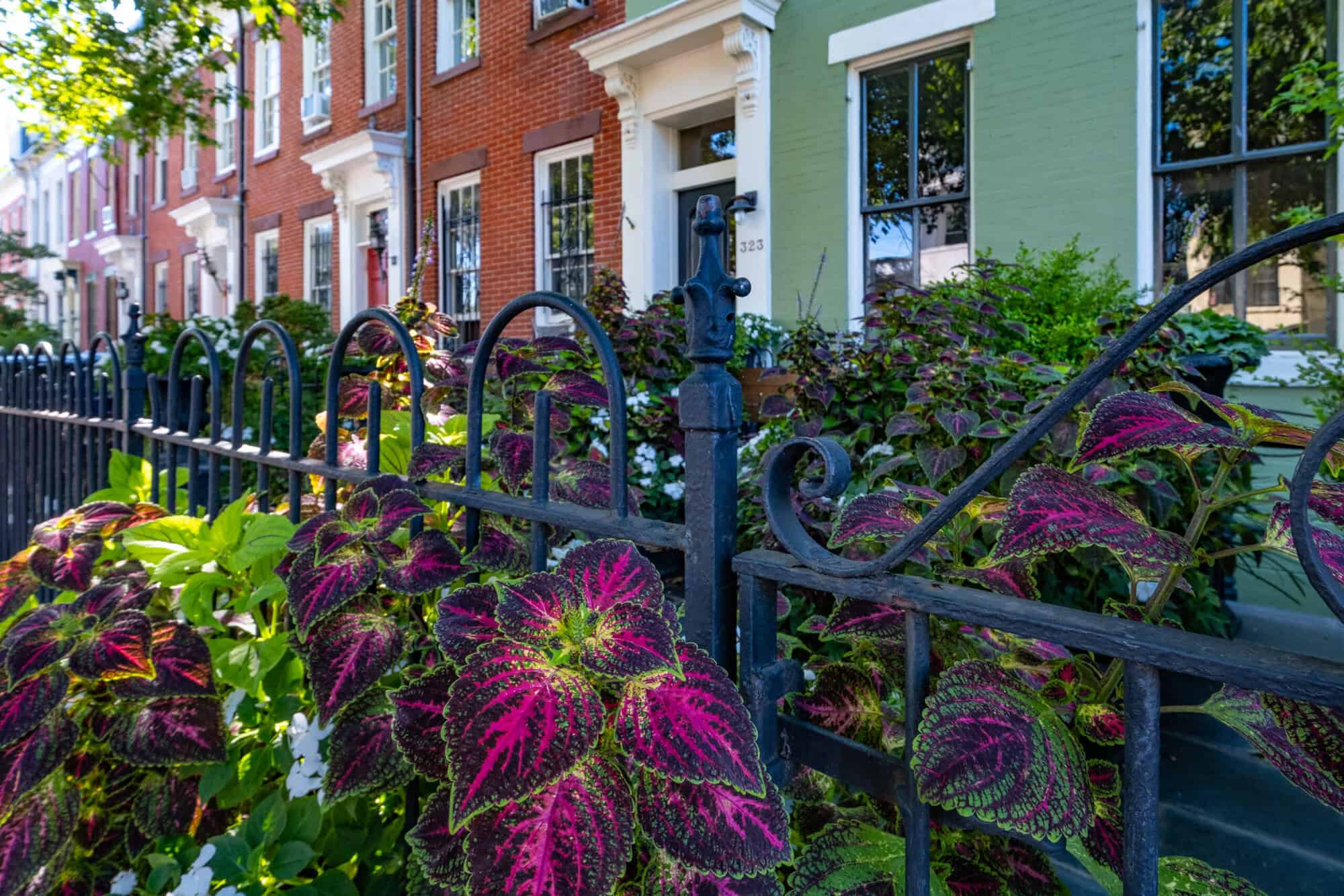 Beautiful historic row houses with colorful gardens and wrought iron fences.
