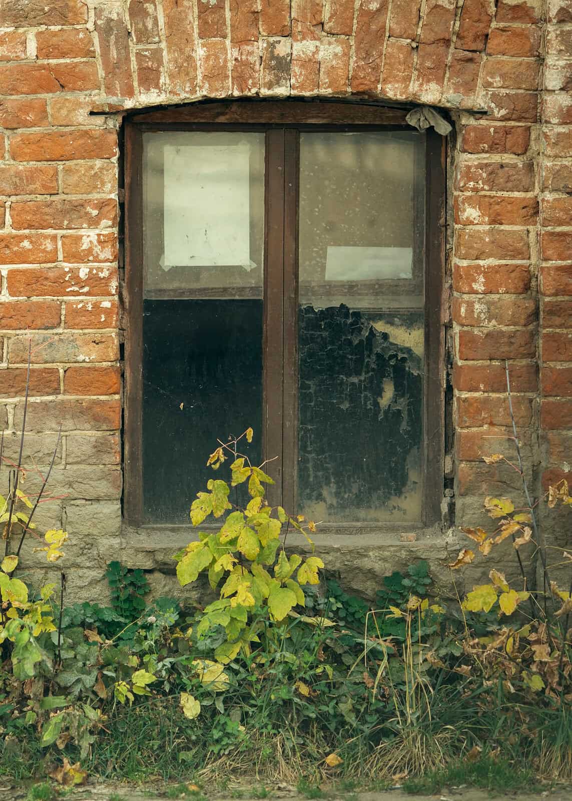 Old brick window with weathered glass and surrounding greenery.