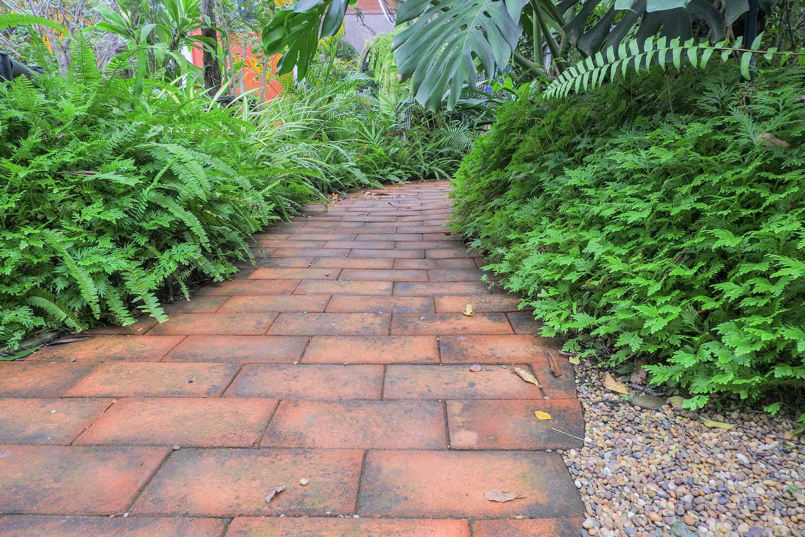 A brick pathway surrounded by lush green plants and foliage in a garden setting.