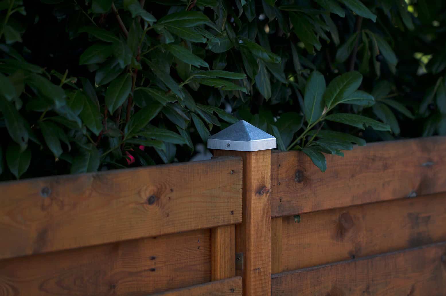Close-up of a wooden fence with a metal post cap, surrounded by lush green foliage.