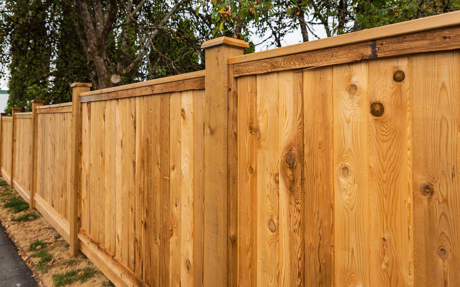 Wood Fencing Best Choices for DCs Historical District - Renaissance Development Washington DC