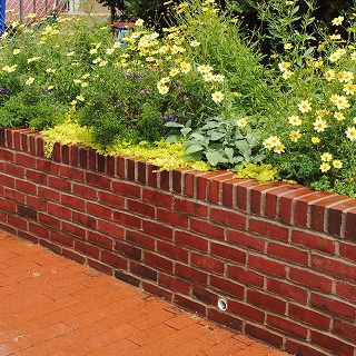 Restoration of historic masonry and tuckpointing on a brick garden wall.