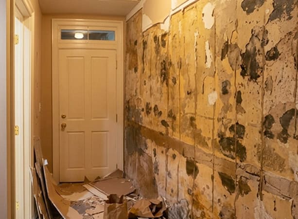 Interior wall with damaged and peeling historic masonry needing repair.